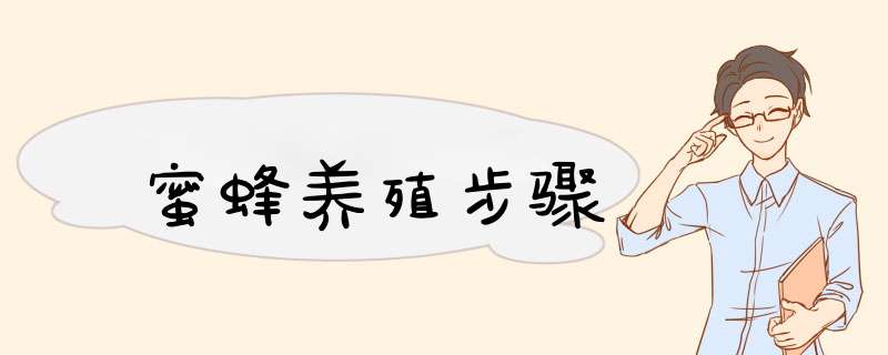 蜜蜂养殖步骤