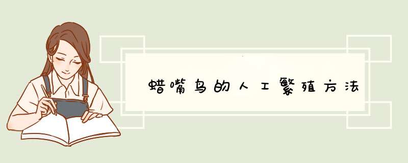 蜡嘴鸟的人工繁殖方法
