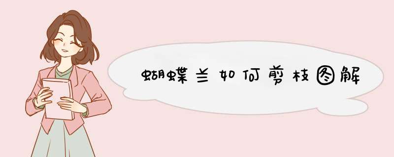 蝴蝶兰如何剪枝图解