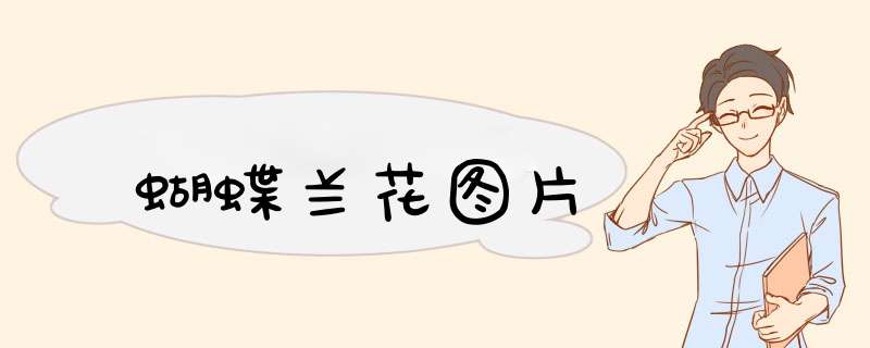蝴蝶兰花图片