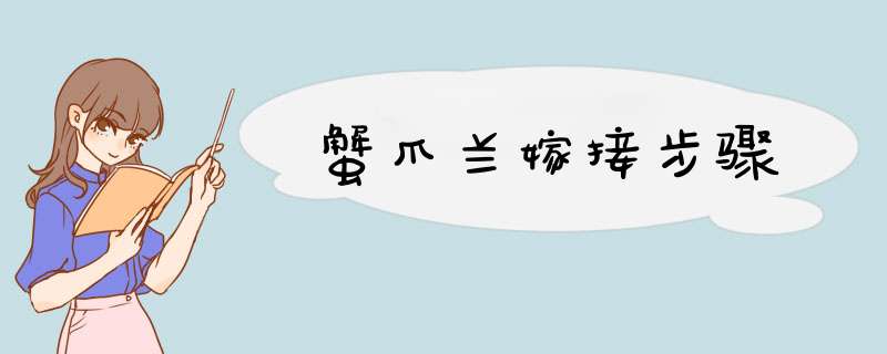 蟹爪兰嫁接步骤
