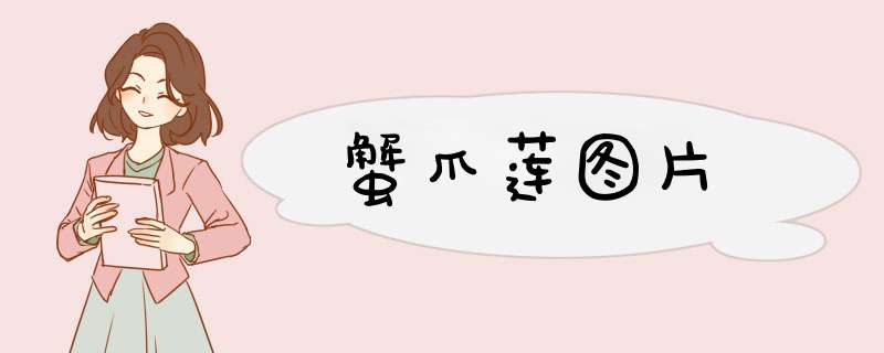 蟹爪莲图片