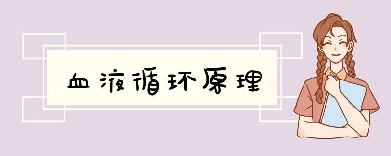 血液循环原理