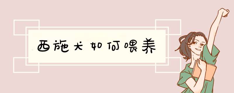 西施犬如何喂养