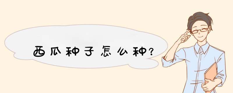 西瓜种子怎么种？