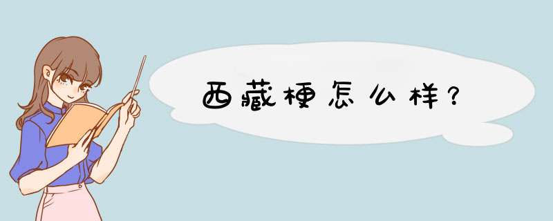西藏梗怎么样？