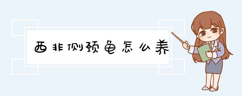 西非侧颈龟怎么养
