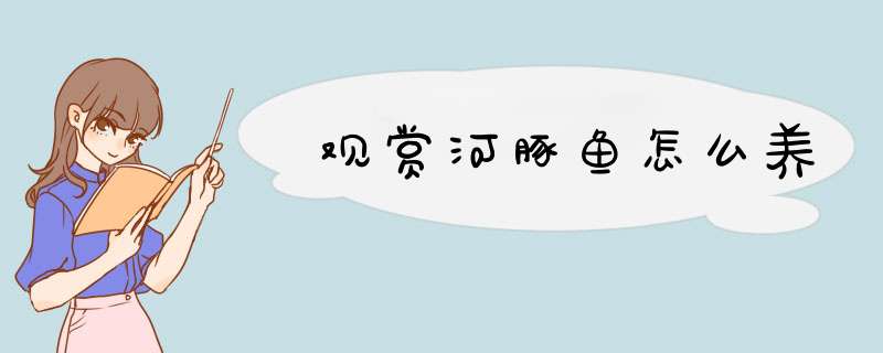 观赏河豚鱼怎么养