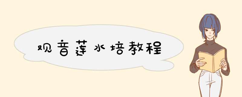 观音莲水培教程