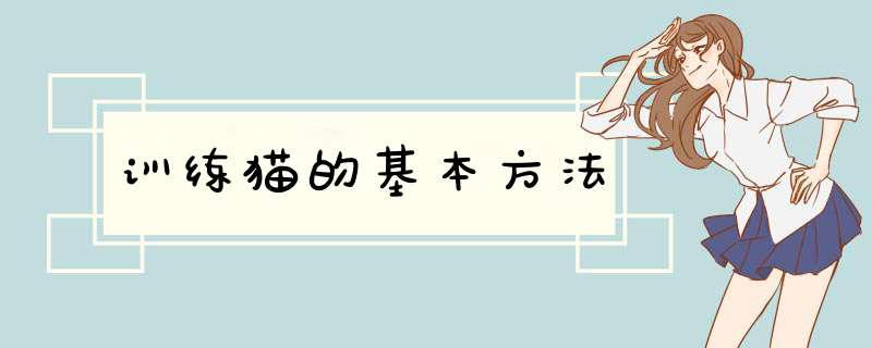 训练猫的基本方法