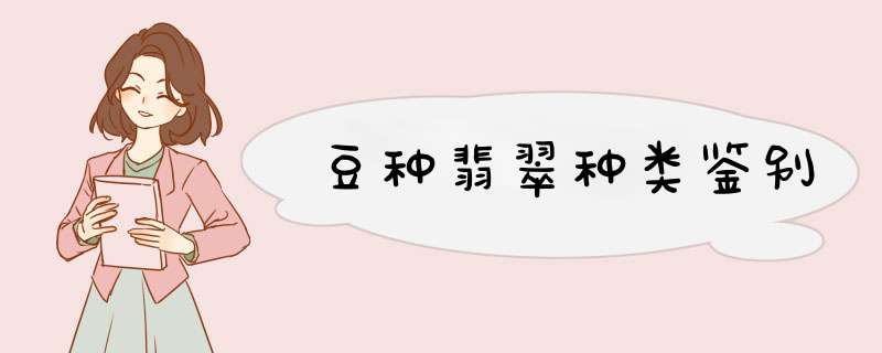 豆种翡翠种类鉴别