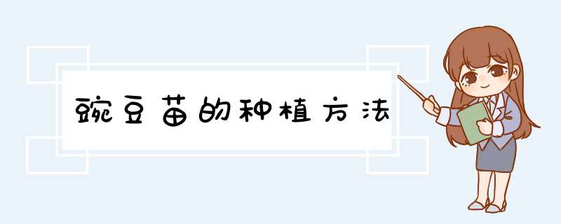 豌豆苗的种植方法