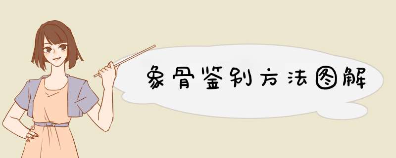象骨鉴别方法图解