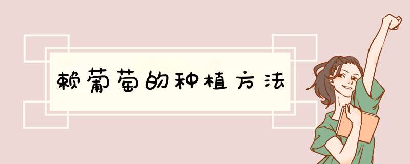 赖葡萄的种植方法