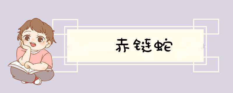 赤链蛇