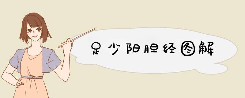 足少阳胆经图解