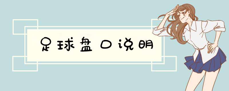 足球盘口说明