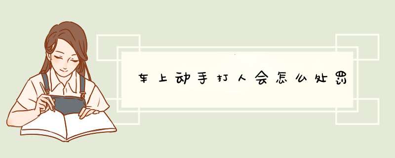 车上动手打人会怎么处罚