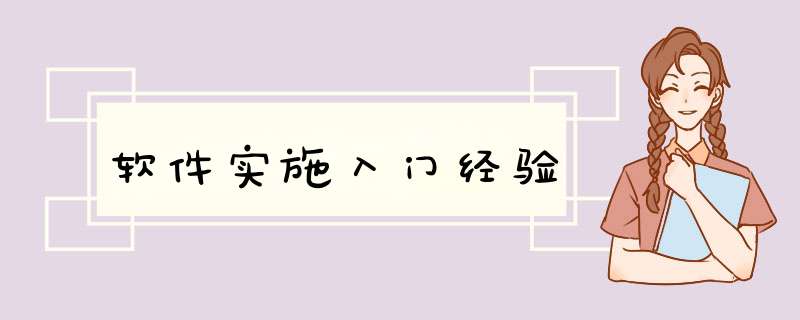 软件实施入门经验