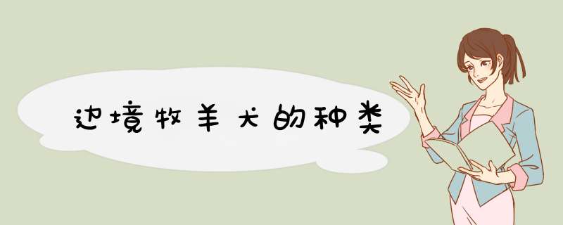 边境牧羊犬的种类
