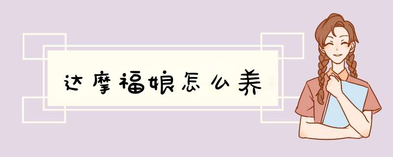 达摩福娘怎么养
