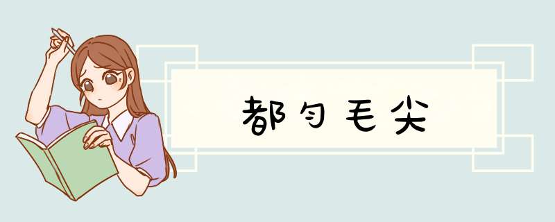 都匀毛尖