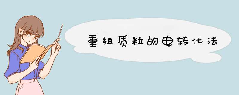 重组质粒的电转化法