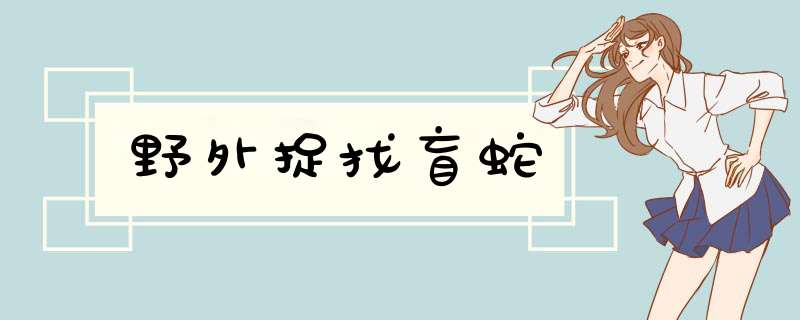 野外捉找盲蛇