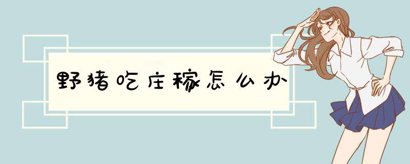 野猪吃庄稼怎么办
