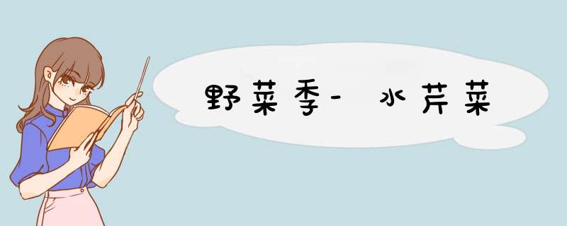 野菜季-水芹菜