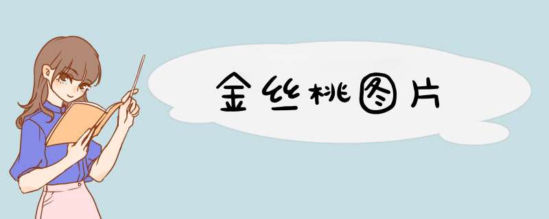 金丝桃图片