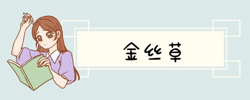 金丝草