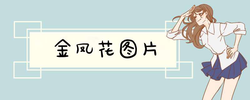 金凤花图片