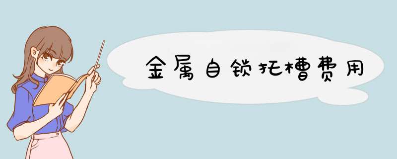 金属自锁托槽费用