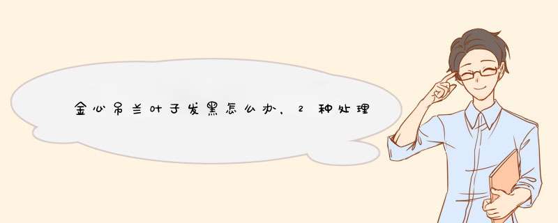 金心吊兰叶子发黑怎么办，2种处理方法