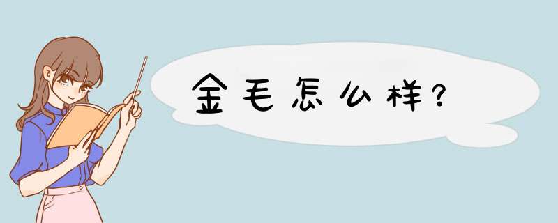 金毛怎么样？
