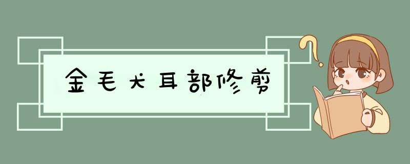金毛犬耳部修剪