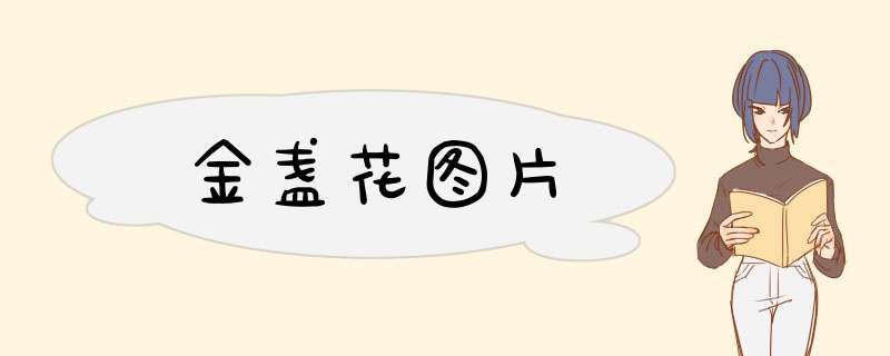 金盏花图片