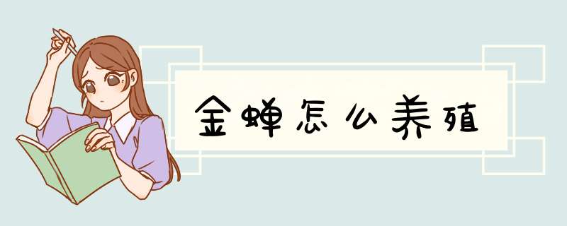 金蝉怎么养殖