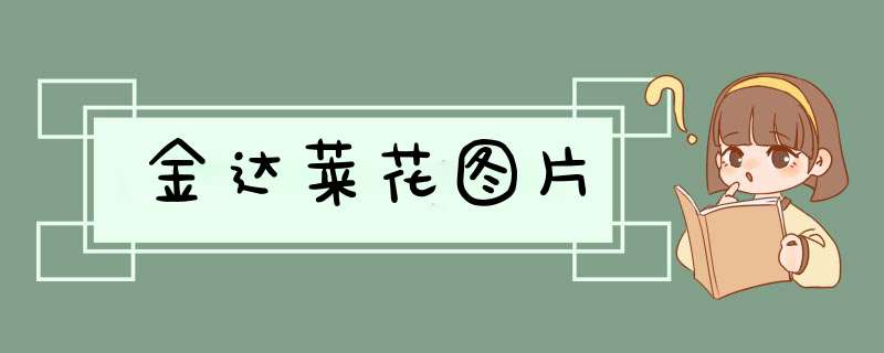 金达莱花图片