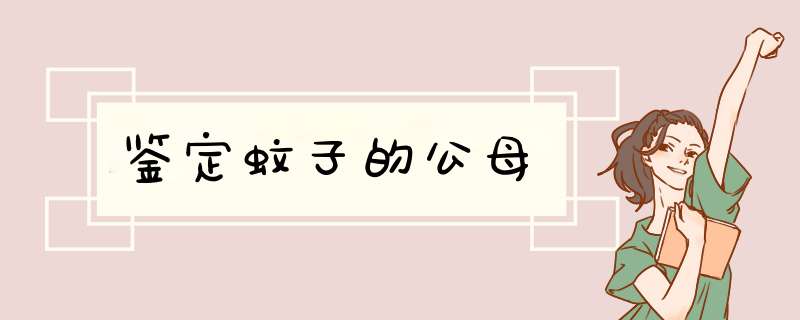 鉴定蚊子的公母