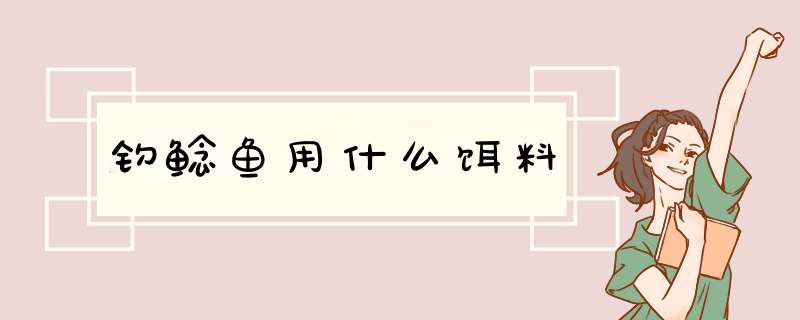 钓鲶鱼用什么饵料