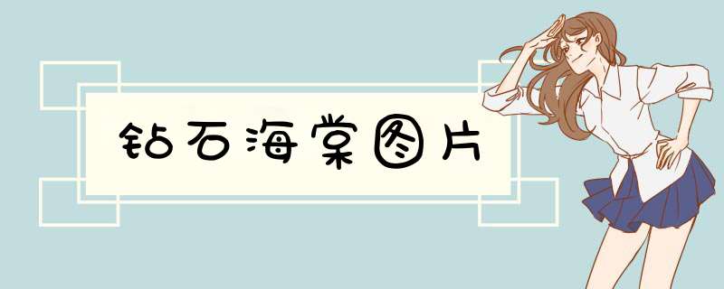 钻石海棠图片
