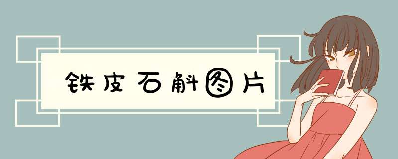 铁皮石斛图片