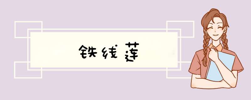 铁线莲