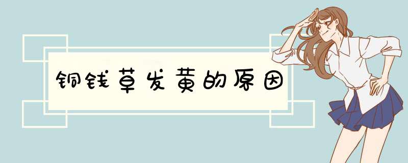 铜钱草发黄的原因