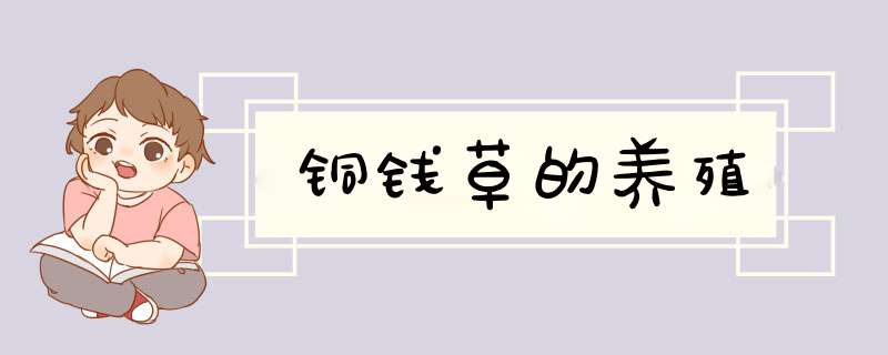 铜钱草的养殖