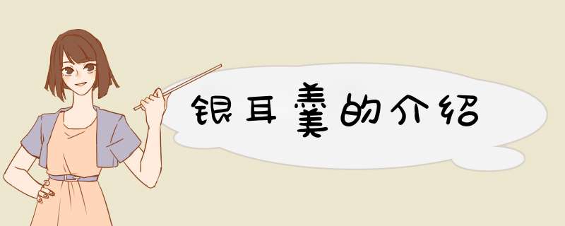 银耳羹的介绍