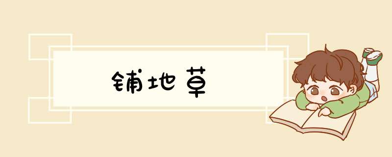铺地草