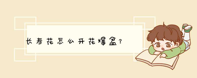 长寿花怎么开花爆盆？